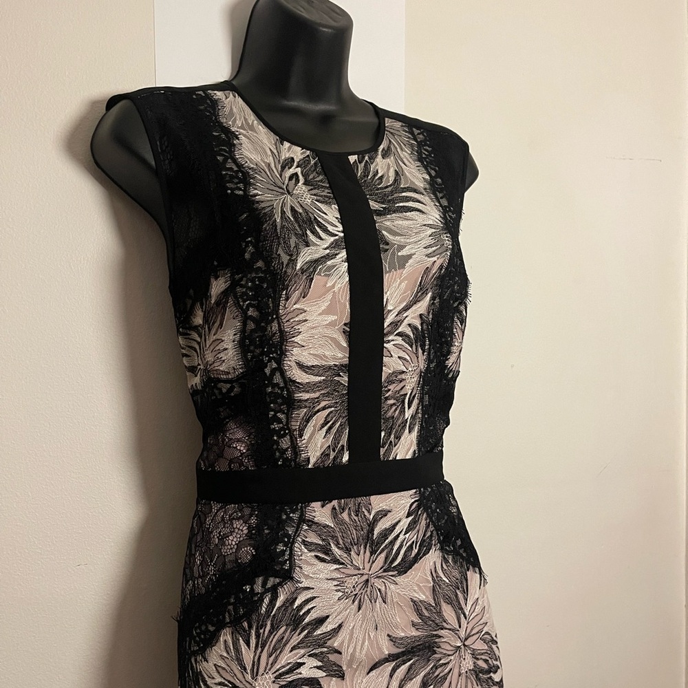 BCBGMaxAzria Black and Cream Floral Midi Dress
